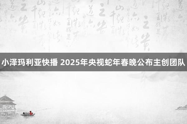 小泽玛利亚快播 2025年央视蛇年春晚公布主创团队