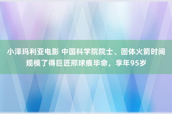 小泽玛利亚电影 中国科学院院士、固体火箭时间规模了得巨匠邢球痕毕命，享年95岁