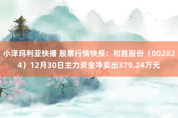 小泽玛利亚快播 股票行情快报：和胜股份（002824）12月30日主力资金净卖出379.24万元