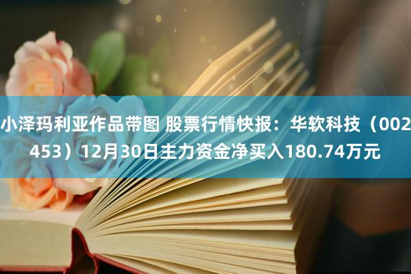 小泽玛利亚作品带图 股票行情快报：华软科技（002453）12月30日主力资金净买入180.74万元