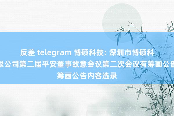 反差 telegram 博硕科技: 深圳市博硕科技股份有限公司第二届平安董事故意会议第二次会议有筹画公告内容选录