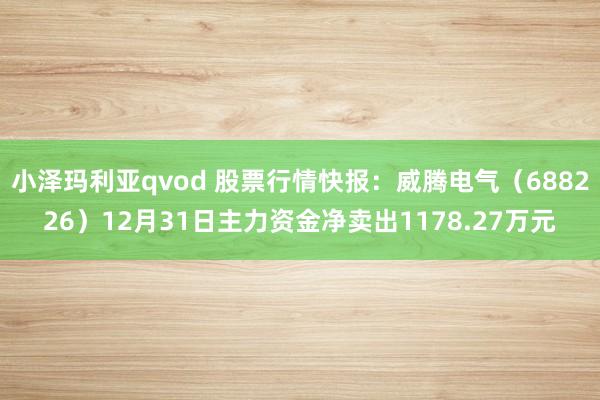 小泽玛利亚qvod 股票行情快报：威腾电气（688226）12月31日主力资金净卖出1178.27万元