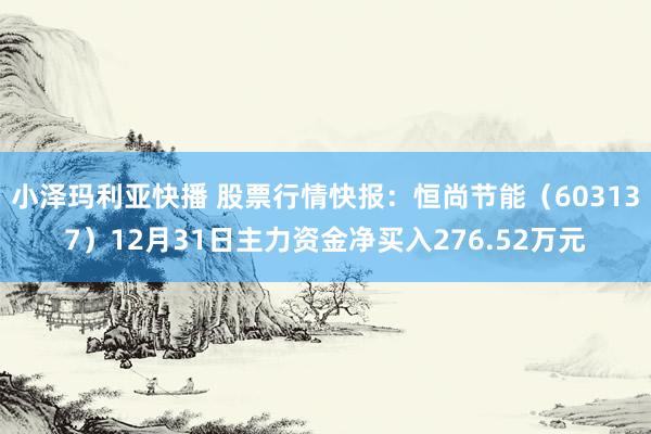 小泽玛利亚快播 股票行情快报：恒尚节能（603137）12月31日主力资金净买入276.52万元