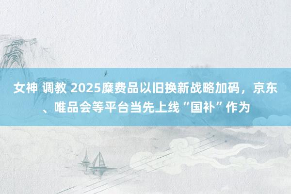 女神 调教 2025糜费品以旧换新战略加码，京东、唯品会等平台当先上线“国补”作为