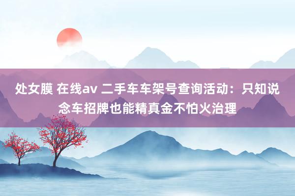 处女膜 在线av 二手车车架号查询活动：只知说念车招牌也能精真金不怕火治理