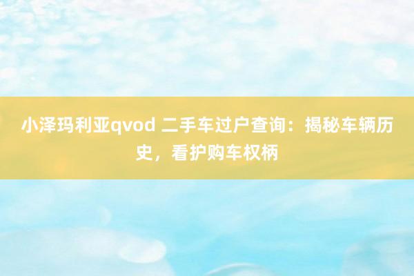 小泽玛利亚qvod 二手车过户查询：揭秘车辆历史，看护购车权柄