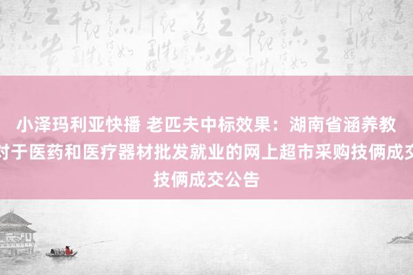 小泽玛利亚快播 老匹夫中标效果：湖南省涵养教练院对于医药和医疗器材批发就业的网上超市采购技俩成交公告