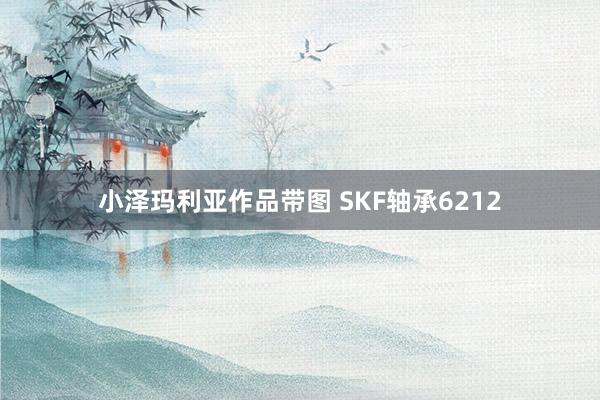 小泽玛利亚作品带图 SKF轴承6212