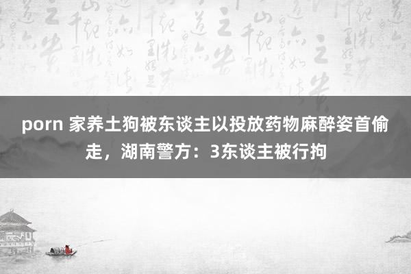 porn 家养土狗被东谈主以投放药物麻醉姿首偷走，湖南警方：3东谈主被行拘