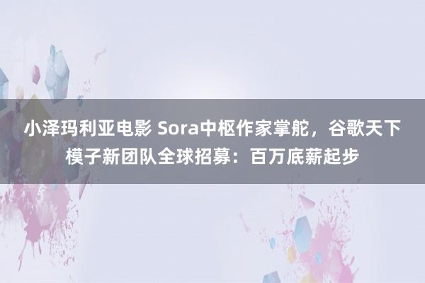 小泽玛利亚电影 Sora中枢作家掌舵，谷歌天下模子新团队全球招募：百万底薪起步