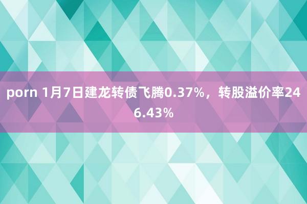 porn 1月7日建龙转债飞腾0.37%，转股溢价率246.43%