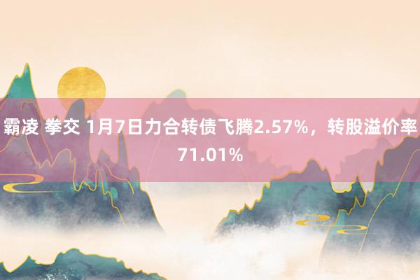 霸凌 拳交 1月7日力合转债飞腾2.57%，转股溢价率71.01%