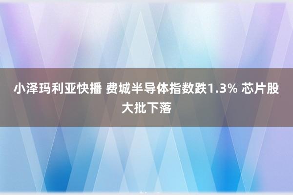 小泽玛利亚快播 费城半导体指数跌1.3% 芯片股大批下落