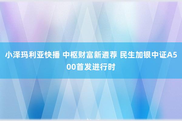 小泽玛利亚快播 中枢财富新遴荐 民生加银中证A500首发进行时