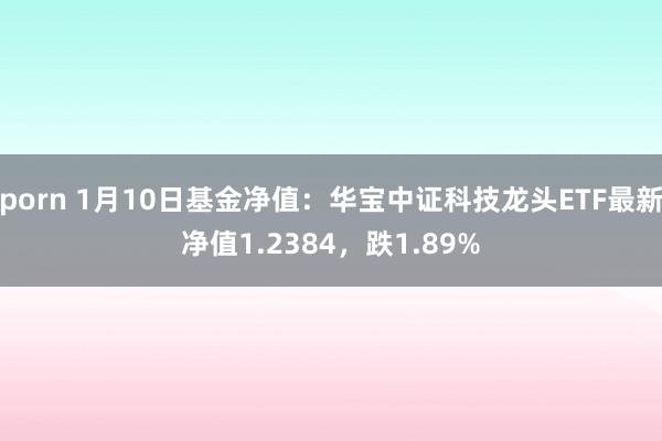 porn 1月10日基金净值：华宝中证科技龙头ETF最新净值1.2384，跌1.89%