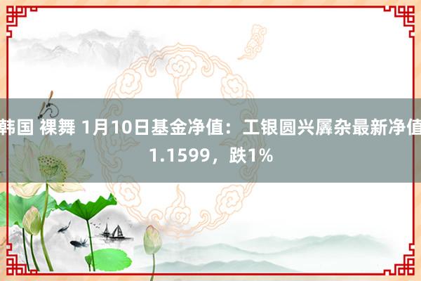 韩国 裸舞 1月10日基金净值：工银圆兴羼杂最新净值1.1599，跌1%