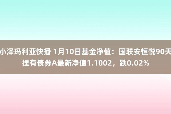 小泽玛利亚快播 1月10日基金净值：国联安恒悦90天捏有债券A最新净值1.1002，跌0.02%