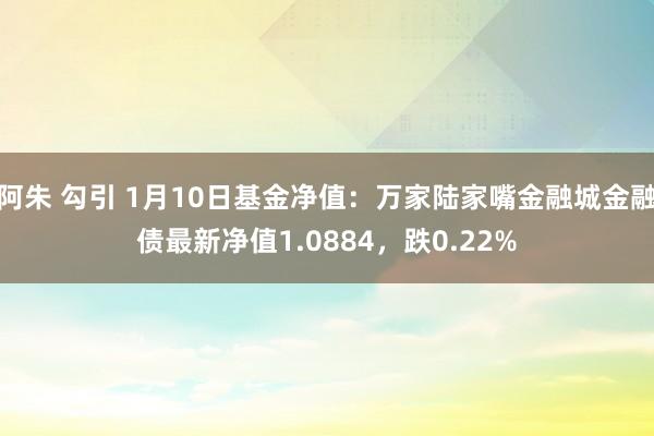 阿朱 勾引 1月10日基金净值：万家陆家嘴金融城金融债最新净值1.0884，跌0.22%