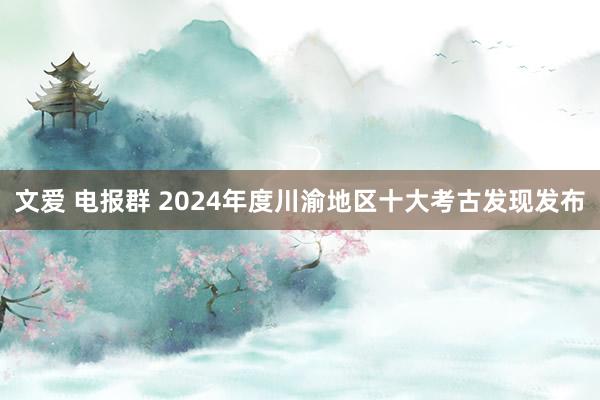 文爱 电报群 2024年度川渝地区十大考古发现发布