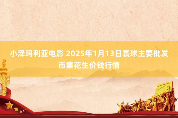 小泽玛利亚电影 2025年1月13日寰球主要批发市集花生价钱行情