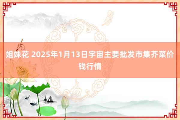 姐妹花 2025年1月13日宇宙主要批发市集芥菜价钱行情