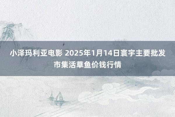 小泽玛利亚电影 2025年1月14日寰宇主要批发市集活草鱼价钱行情