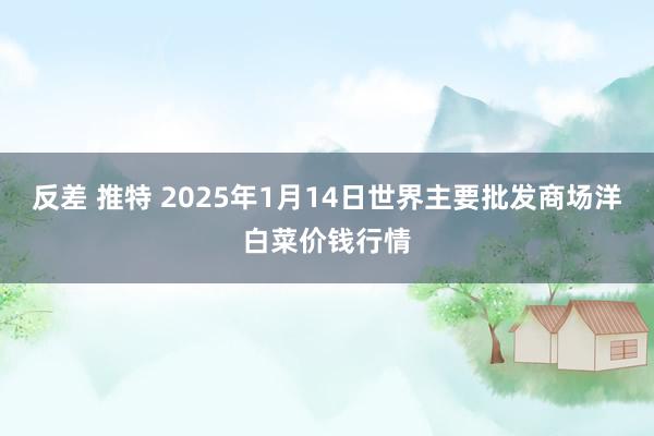 反差 推特 2025年1月14日世界主要批发商场洋白菜价钱行情