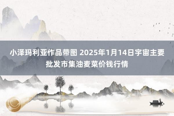 小泽玛利亚作品带图 2025年1月14日宇宙主要批发市集油麦菜价钱行情