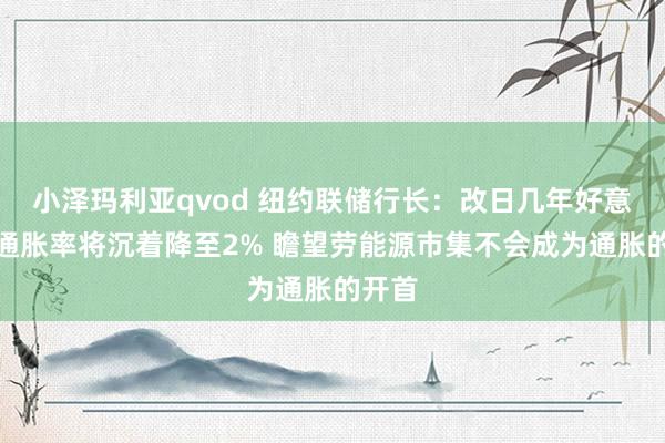 小泽玛利亚qvod 纽约联储行长：改日几年好意思国通胀率将沉着降至2% 瞻望劳能源市集不会成为通胀的开首