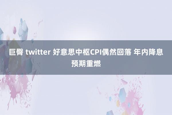 巨臀 twitter 好意思中枢CPI偶然回落 年内降息预期重燃