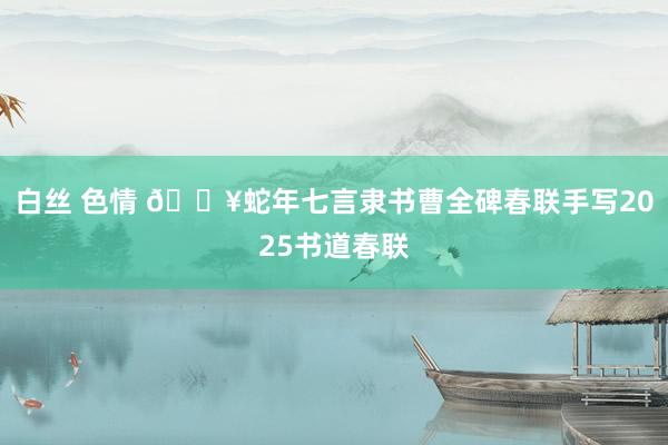 白丝 色情 🔥蛇年七言隶书曹全碑春联手写2025书道春联