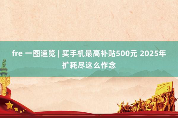 fre 一图速览 | 买手机最高补贴500元 2025年扩耗尽这么作念