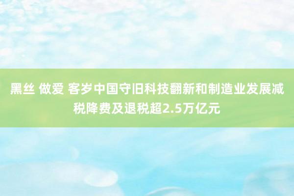 黑丝 做爱 客岁中国守旧科技翻新和制造业发展减税降费及退税超2.5万亿元