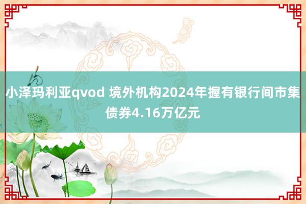 小泽玛利亚qvod 境外机构2024年握有银行间市集债券4.16万亿元