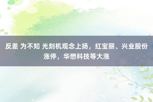 反差 为不知 光刻机观念上扬，红宝丽、兴业股份涨停，华懋科技等大涨