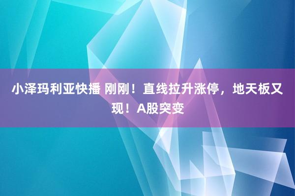 小泽玛利亚快播 刚刚！直线拉升涨停，地天板又现！A股突变