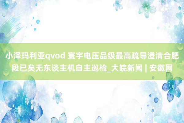 小泽玛利亚qvod 寰宇电压品级最高疏导澄清合肥段已矣无东谈主机自主巡检_大皖新闻 | 安徽网