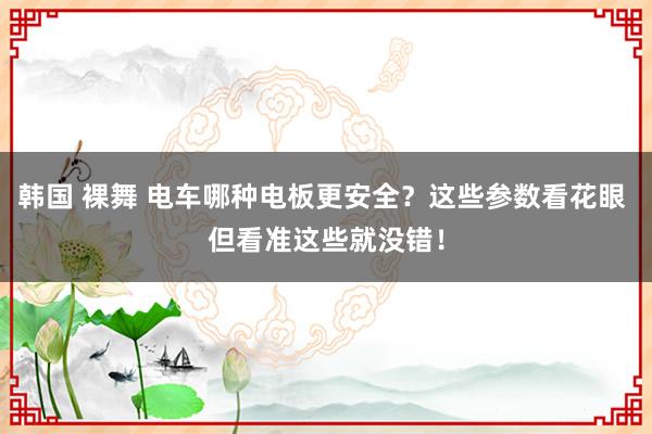 韩国 裸舞 电车哪种电板更安全？这些参数看花眼 但看准这些就没错！