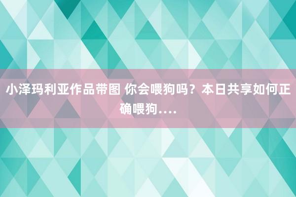 小泽玛利亚作品带图 你会喂狗吗？本日共享如何正确喂狗….